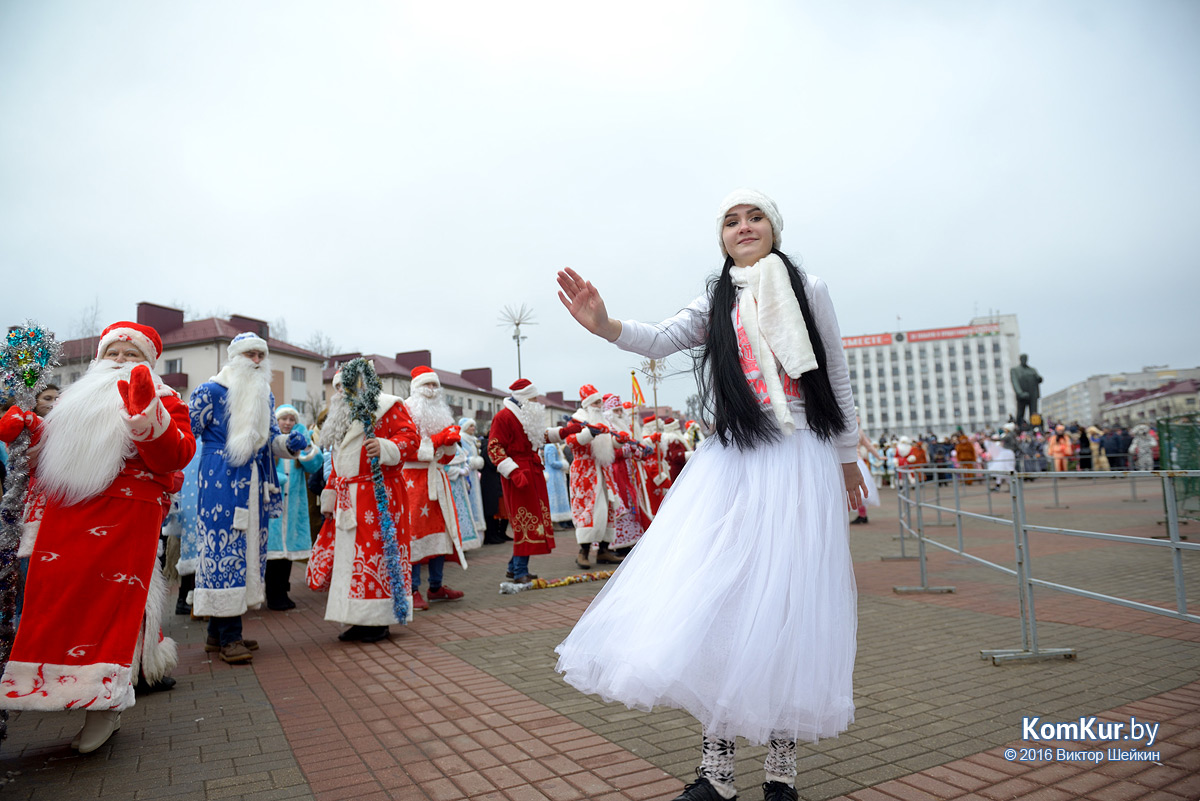 В Бобруйске прошло праздничное шествие Дедов Морозов и других сказочных персонажей