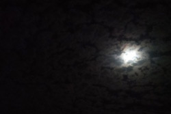 Лунное затмение в Бобруйске