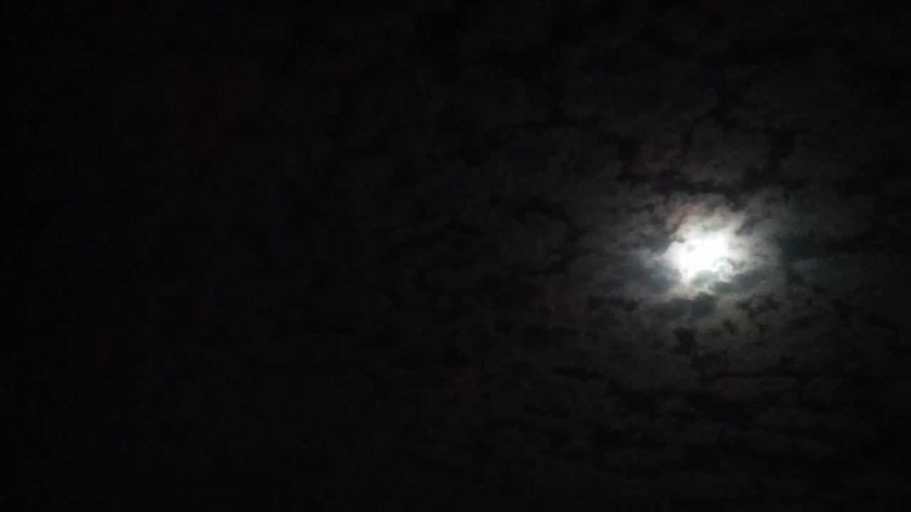 Лунное затмение в Бобруйске