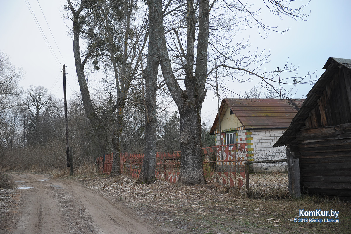 Загадочная деревня под Бобруйском