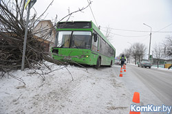 В Бобруйске автобус снес дерево (ДОПОЛНЕНО)