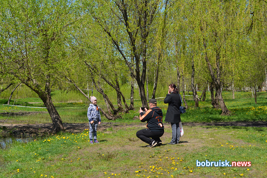 Как отдыхали бобруйчане 9 мая в городском парке. Фоторепортаж
