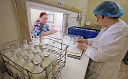 В Беларуси расширили список молочных продуктов, выдаваемых «за вредность» на производствах