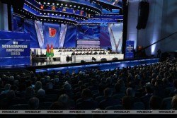 Делегаты ВНС утвердили Концепцию национальной безопасности и Военную доктрину