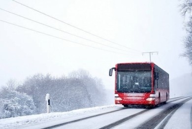 Во время проведения «Бобруйской лыжни-2024» будет курсировать дополнительный городской автобус маршрута №25