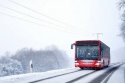 Во время проведения «Бобруйской лыжни-2024» будет курсировать дополнительный городской автобус маршрута №25