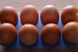 Три необычных рецепта приготовления яиц: заставят удивиться даже самого искушенного гурмана