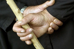 Бобруйчанин сломал пенсионерке руку ударом палки