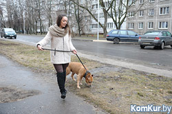 «Заминированный» Бобруйск: за что штрафуют владельцев собак
