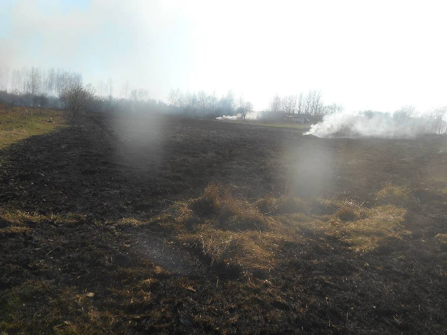 Пожар в деревне Михалево-3 Бобруйского района 