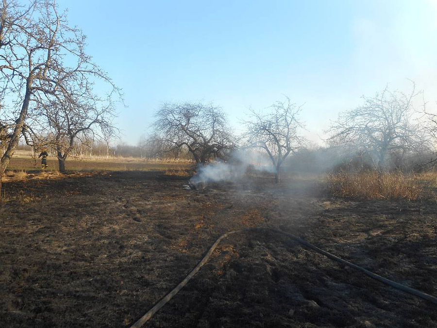 Пожар в деревне Михалево-3 Бобруйского района 