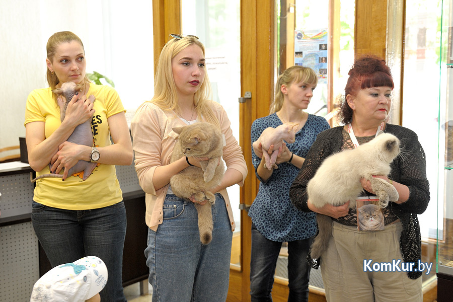 От мэйн-куна до сфинкса – в бобруйском музее