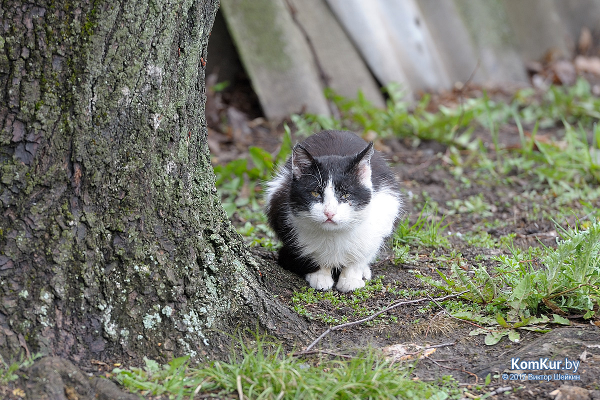 Пролетарии XXI века, или Поселок «сбежавший» из зоны