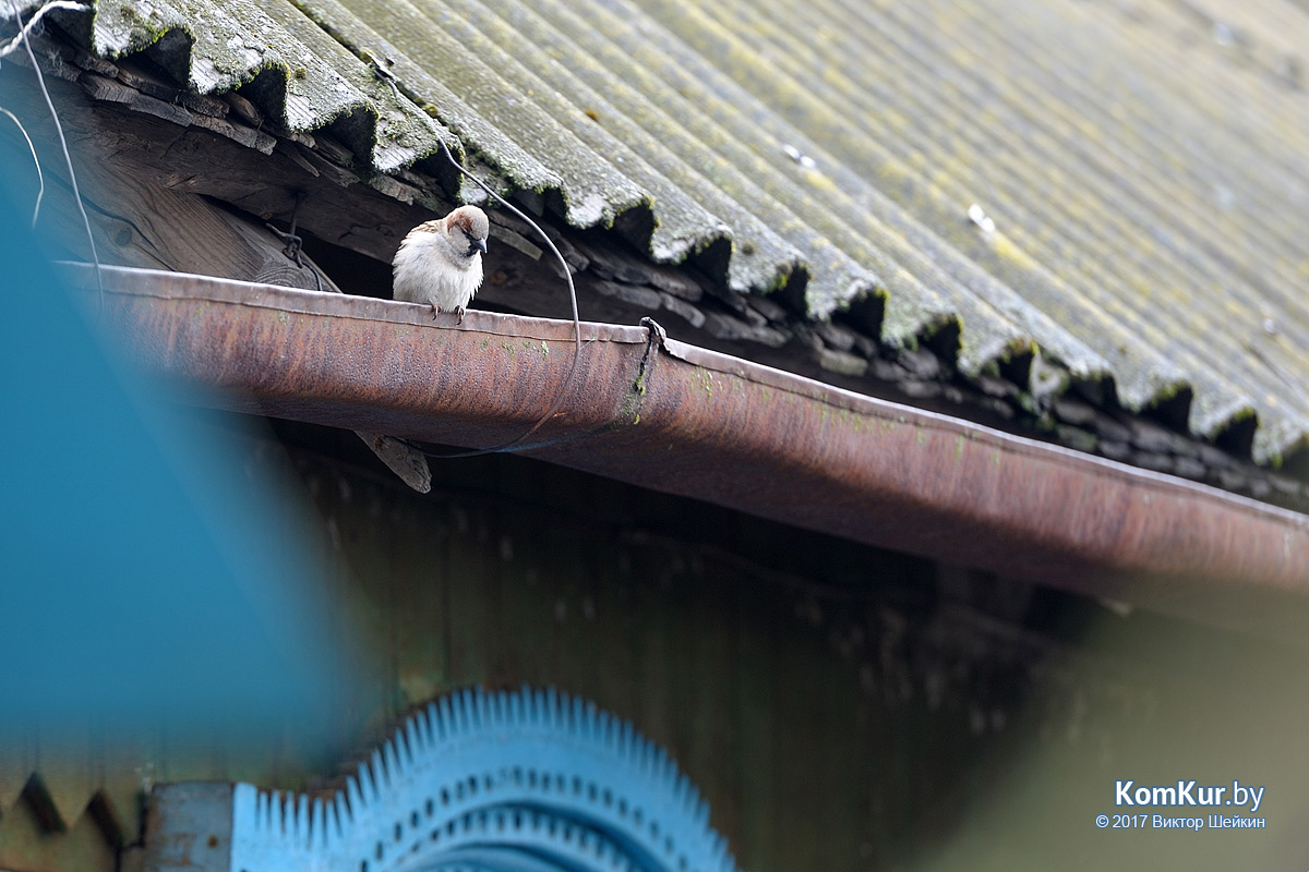 Пролетарии XXI века, или Поселок «сбежавший» из зоны