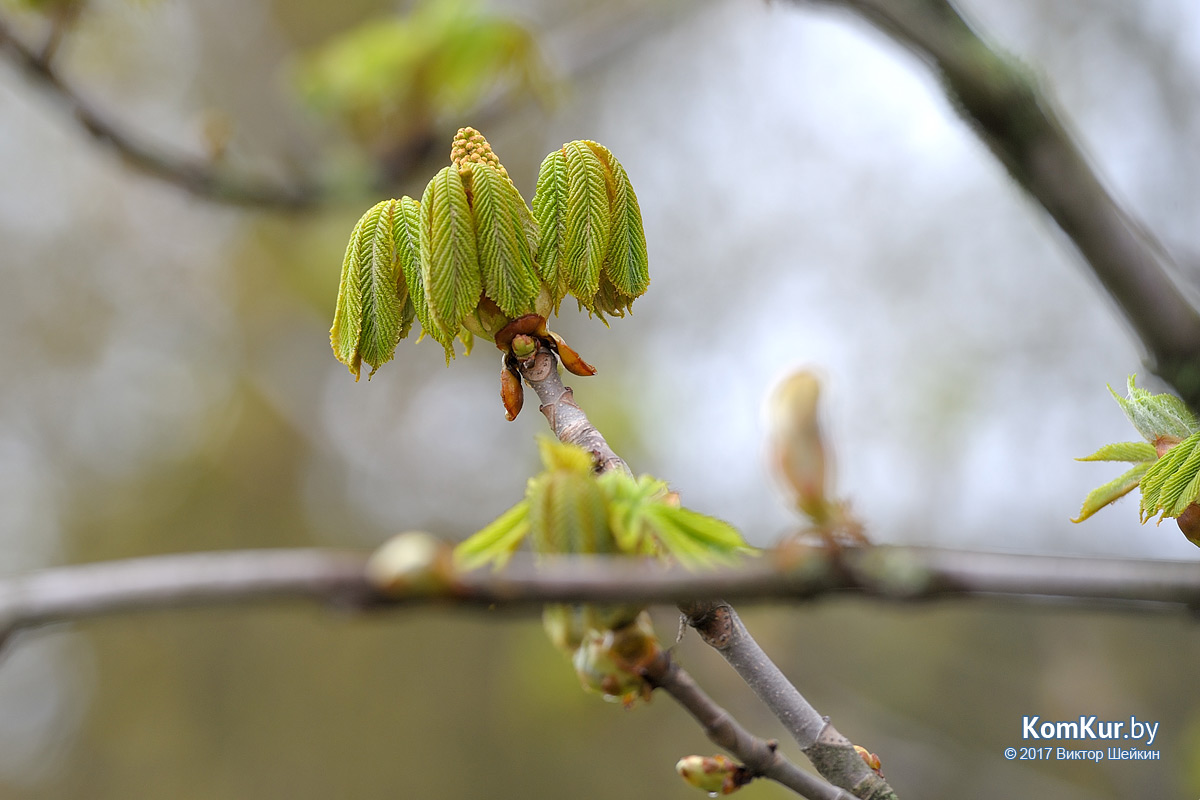 Пролетарии XXI века, или Поселок «сбежавший» из зоны