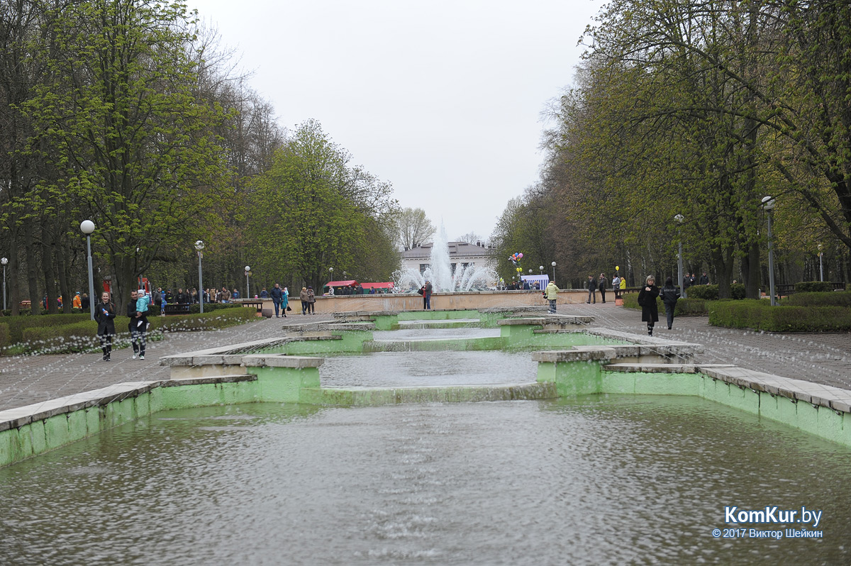 Молодежный парк бобруйск фото