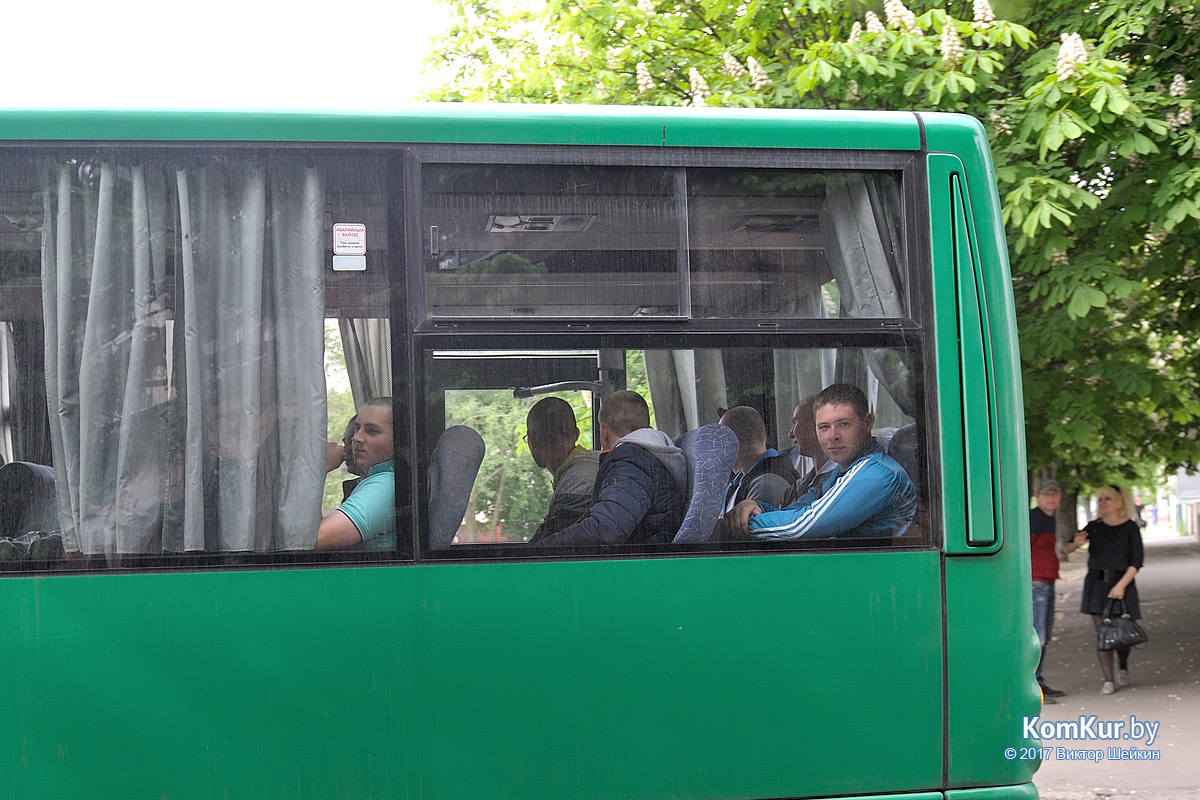 Около трехсот бобруйчан призвали на службу в вооруженные силы