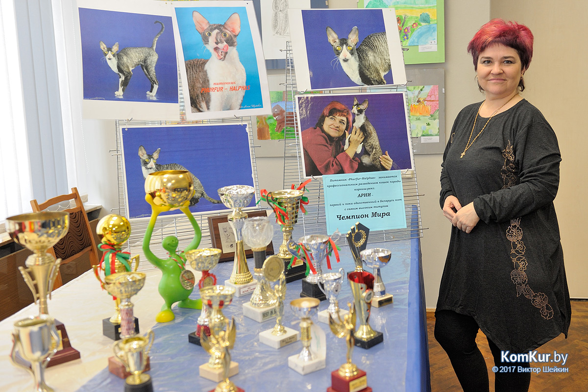 От мэйн-куна до сфинкса – в бобруйском музее