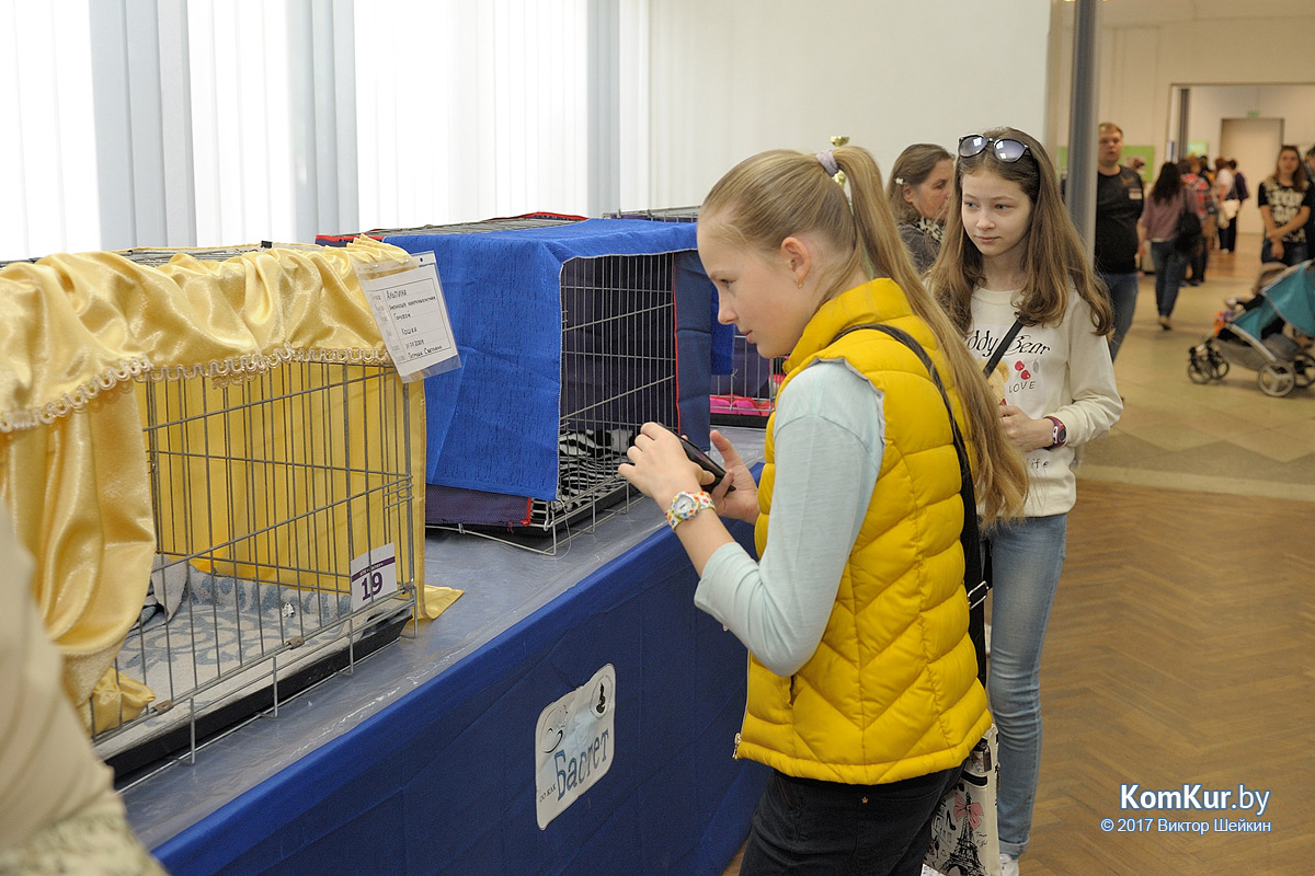 От мэйн-куна до сфинкса – в бобруйском музее