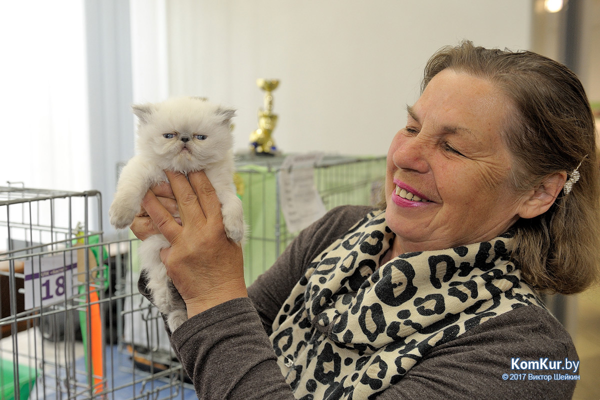 От мэйн-куна до сфинкса – в бобруйском музее