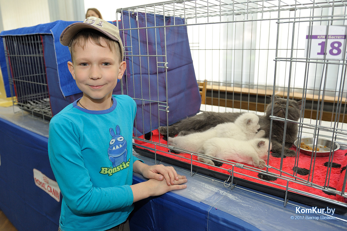 От мэйн-куна до сфинкса – в бобруйском музее