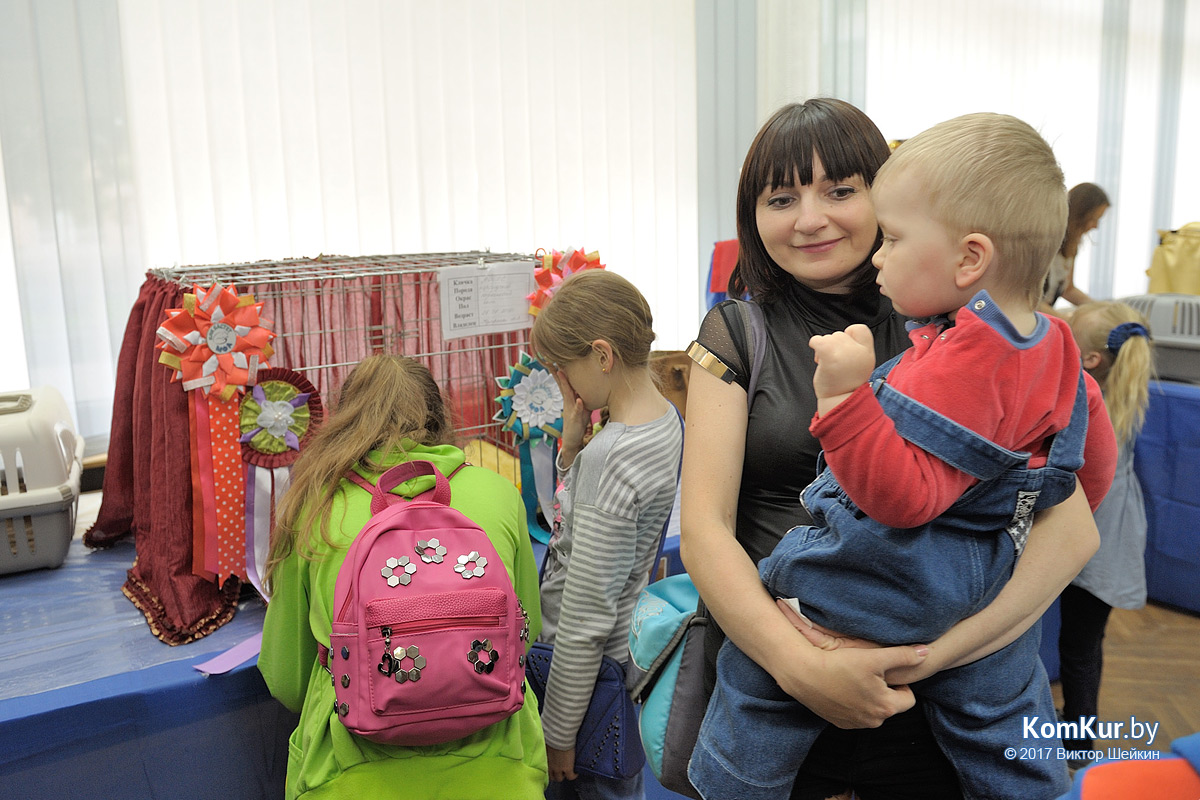 От мэйн-куна до сфинкса – в бобруйском музее