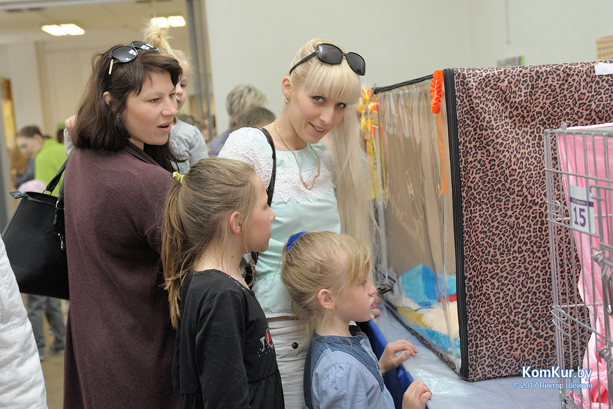 От мэйн-куна до сфинкса – в бобруйском музее