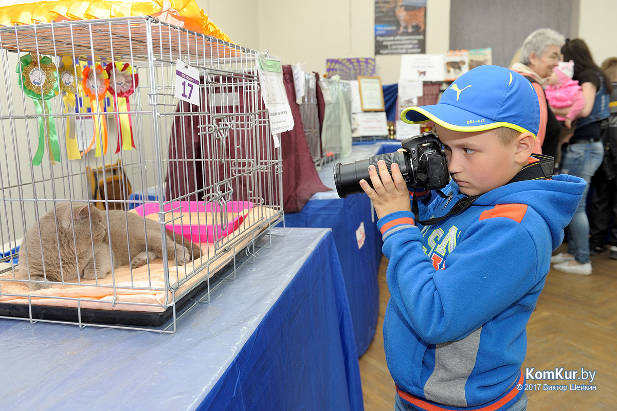 От мэйн-куна до сфинкса – в бобруйском музее