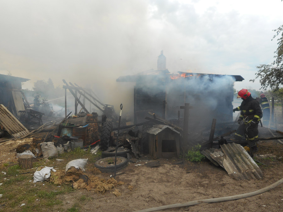 В деревне Савичи сгорели хозпостройки 