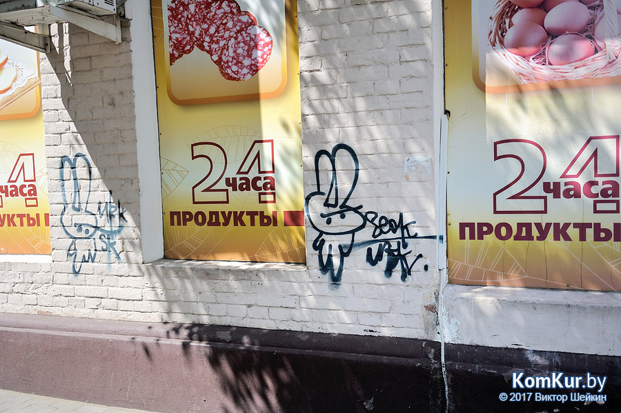 Как бороться с вредителями в Бобруйске?