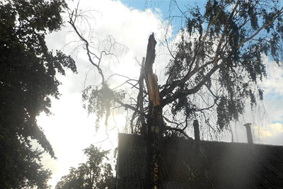 Девять населенных пунктов в Глусском и Бобруйском районах пострадали из-за сильного ветра