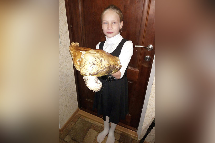 Школьница нашла боровик весом 2,3 кг