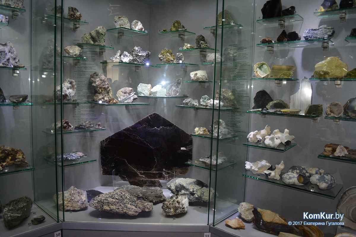 Полвека в поисках сокровищ