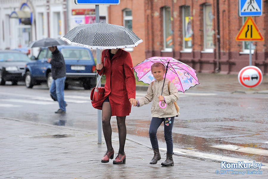 Когда в Бобруйске прекратятся дожди?