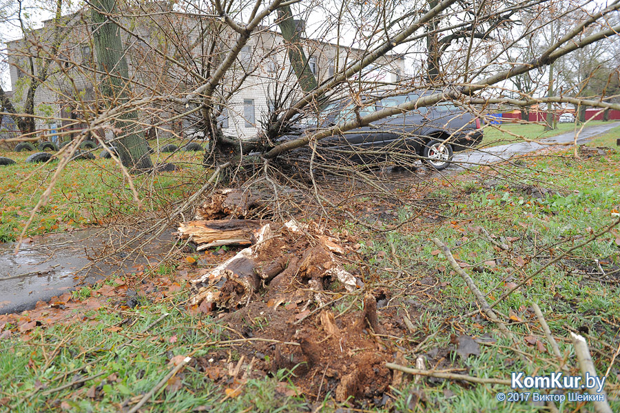 На улице Гоголя в Бобруйске Volkswagen врезался в дерево