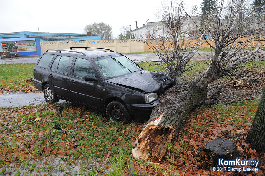 На улице Гоголя в Бобруйске Volkswagen врезался в дерево