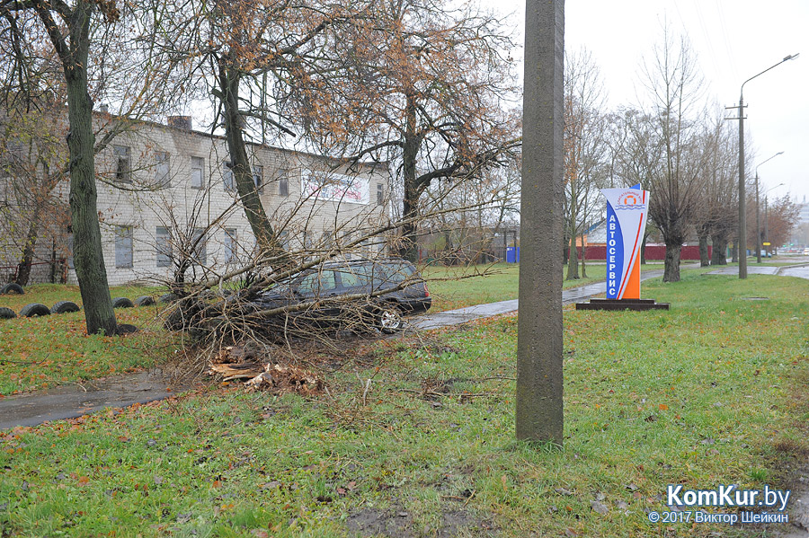 На улице Гоголя в Бобруйске Volkswagen врезался в дерево