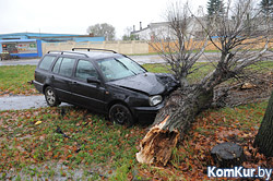 На улице Гоголя в Бобруйске Volkswagen врезался в дерево (ОБНОВЛЕНО)