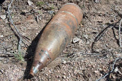 Возле деревни Ясный лес обнаружены боеприпасы