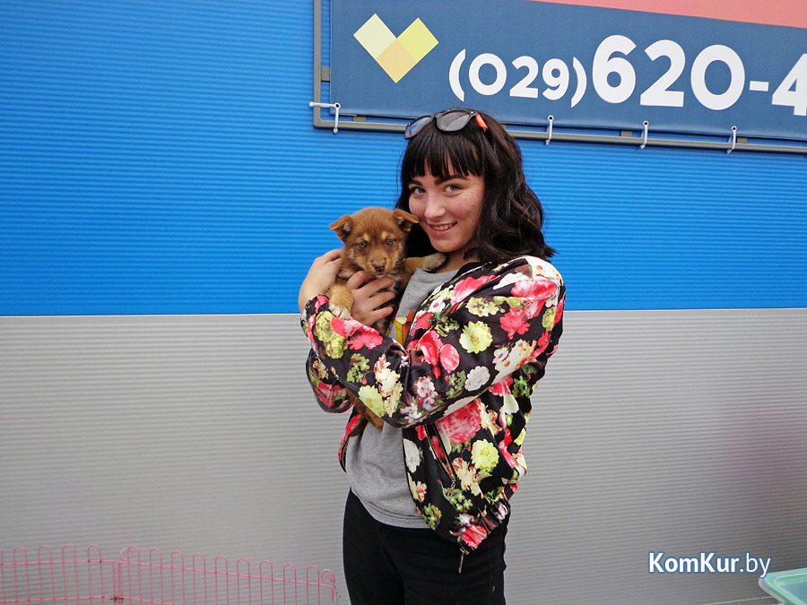 В Бобруйске бездомные животные нашли себе людей