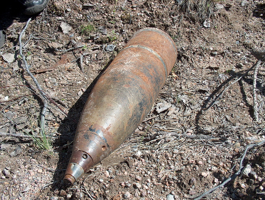 Возле деревни Ясный лес обнаружены боеприпасы