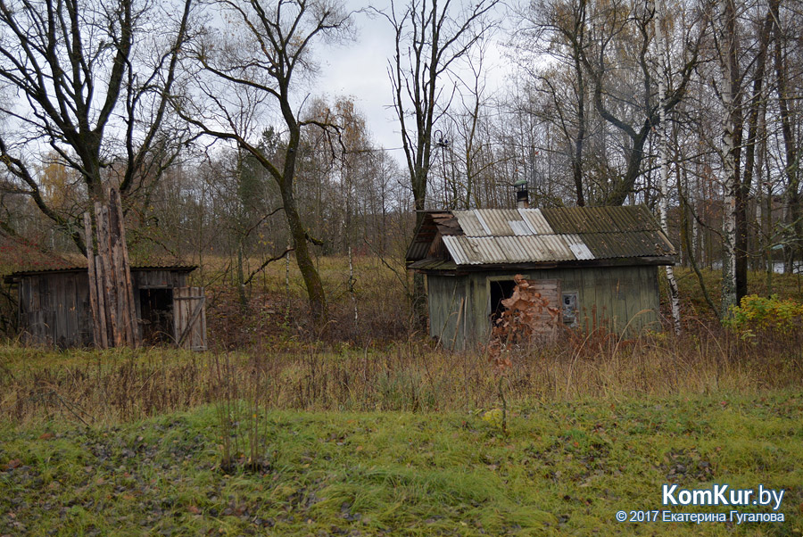 Живописные места: деревня Красное Осиповичского района