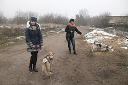 Бобруйские волонтеры помогли бездомным животным