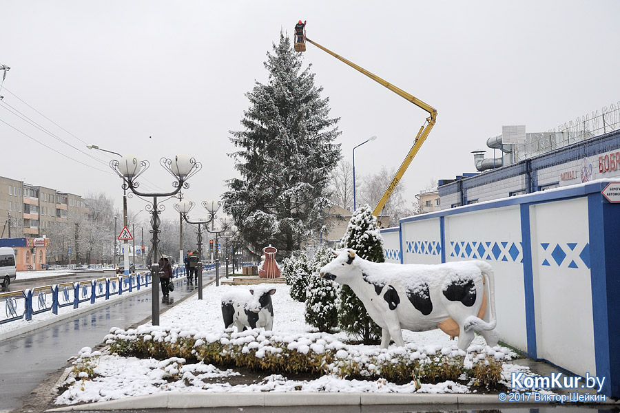 Фотофакт: в Бобруйске установили первую новогоднюю елку