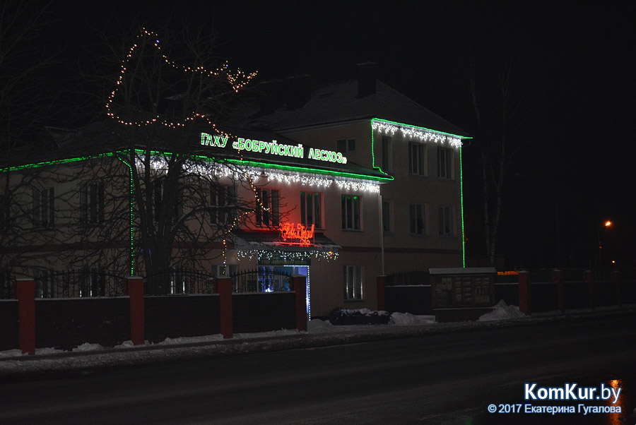 Бобруйск предновогодний: огни ночного города