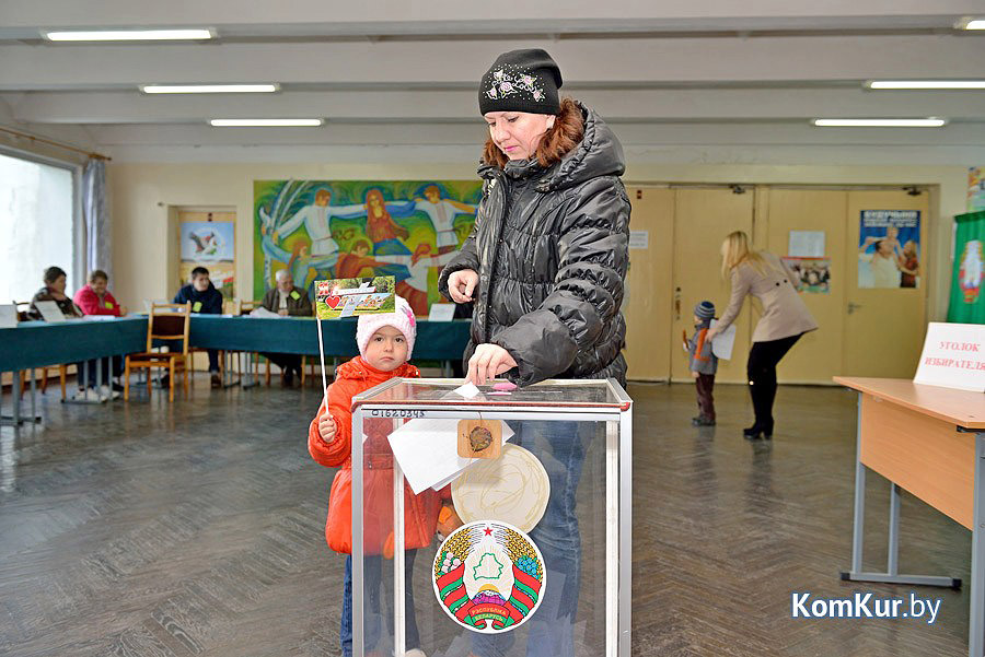 Сведения о кандидатах в депутаты Бобруйского горсовета