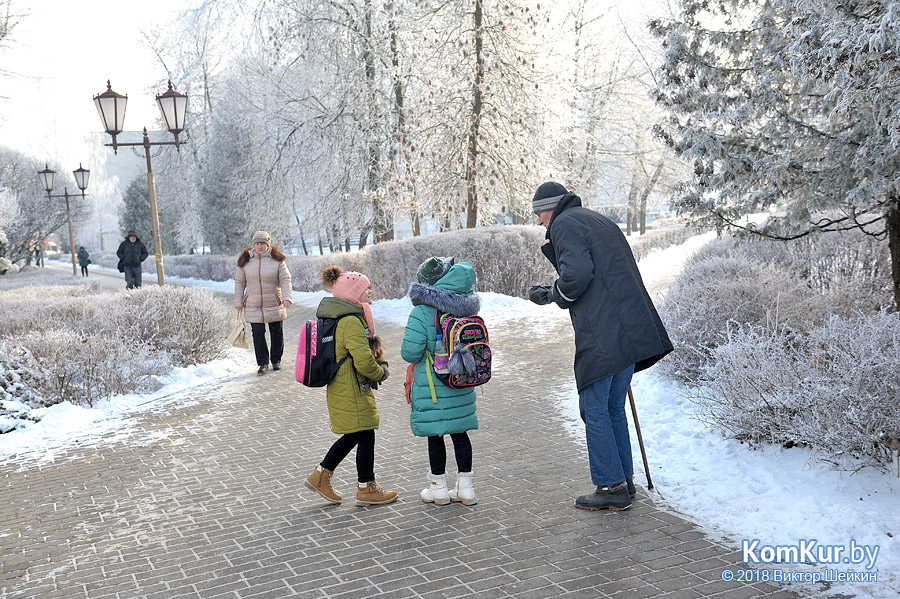 Подавать или нет? Мнения бобруйчан