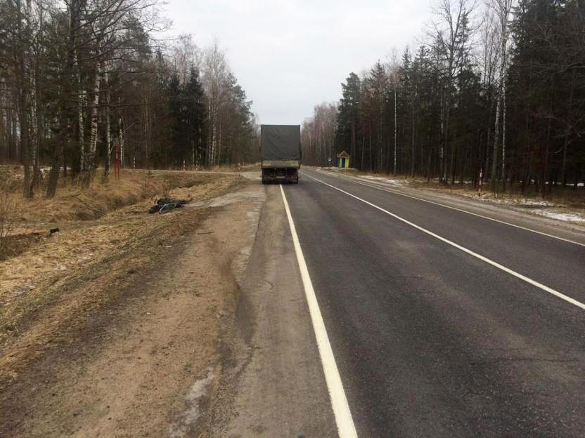 В Бобруйском районе погиб велосипедист