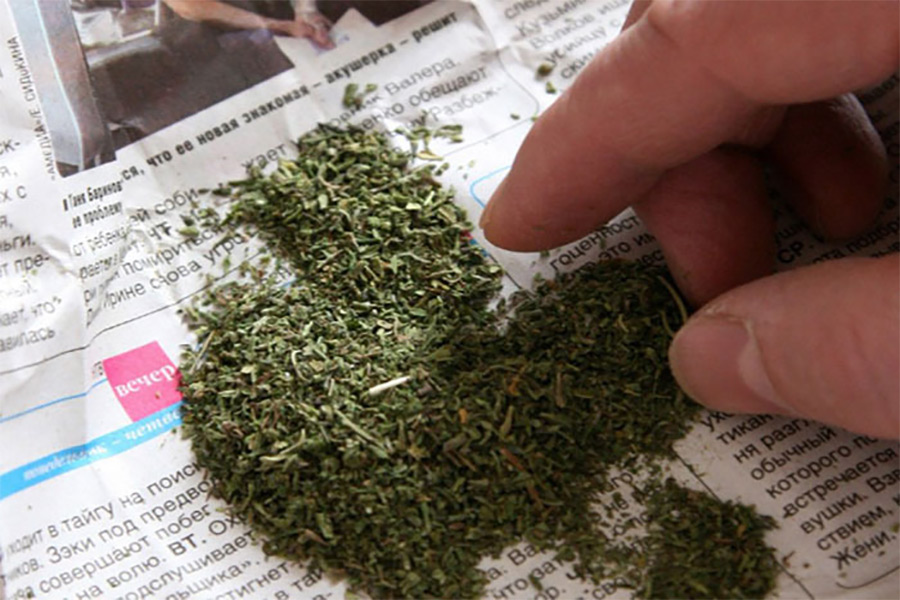 Целый мешок травы: в Бобруйском районе нашли «схрон» с марихуаной