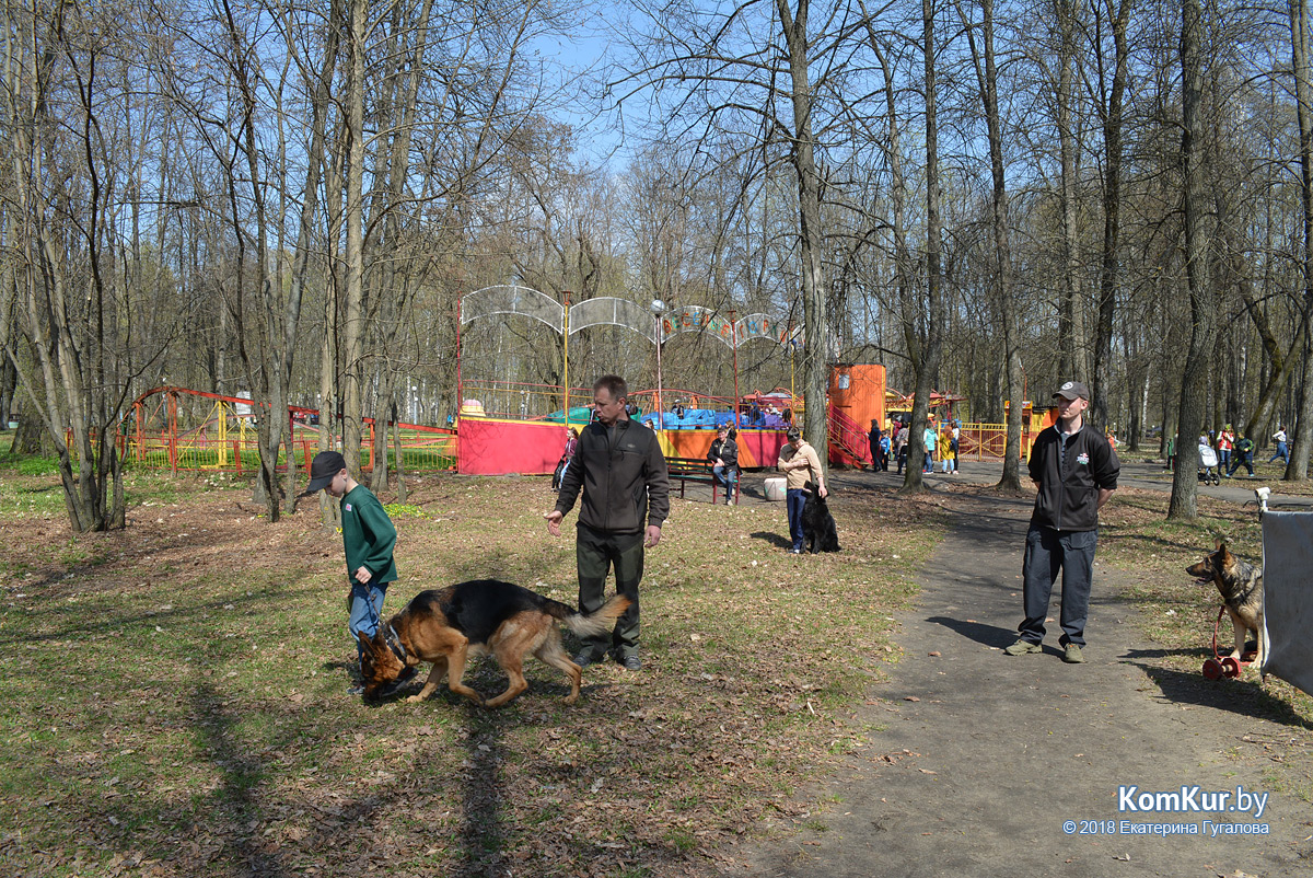 В Бобруйске открылся парковый сезон!